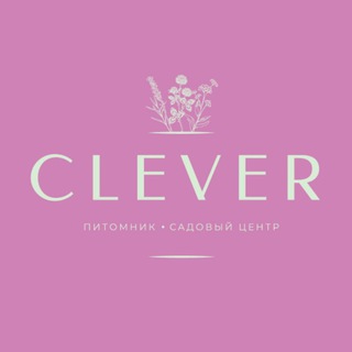 Telegram profile photo for Clever-sad.ru