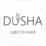 Telegram profile photo for DUSHA | ЦВЕТЫ | КАЗАНЬ