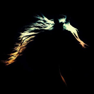 Telegram profile photo for ||وَحِيدَةٌ كَبُنْدُقِيَّةِ شَهِيد||