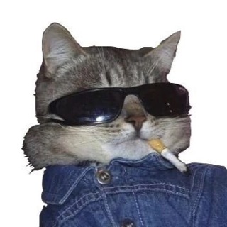 Telegram profile photo for hhxwyti