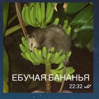 Telegram profile photo for Ксехина €бучая бананья