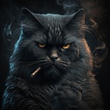 Telegram profile photo for Дорогой дневник…