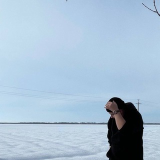 Telegram profile photo for Услуги sunrassvet