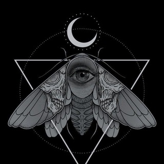 Telegram profile photo for Dark_cicada