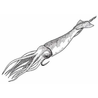 Telegram profile photo for Зі смаком Кальмара