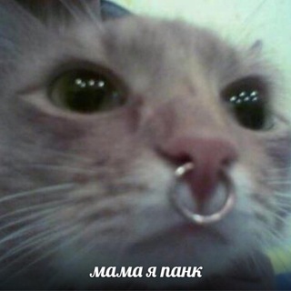 Telegram profile photo for слова это сложно