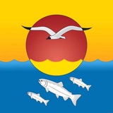 Telegram profile photo for Ольский муниципальный округ