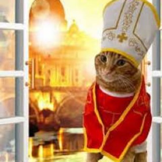 Telegram profile photo for $CAT Portal