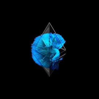 Telegram profile photo for 🦄Ethereans🦄