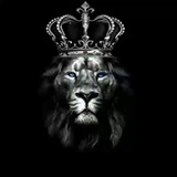 Telegram profile photo for Arzdigital_soltan