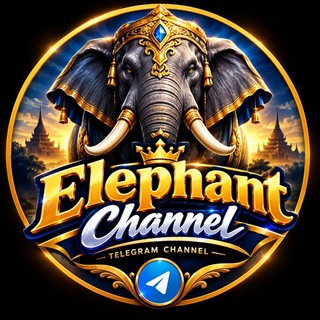 Telegram profile photo for Elephant2dThaiCard