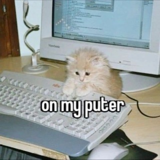 Telegram profile photo for buttermilk sandwich