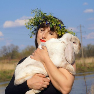 Telegram profile photo for Дача в Приморье 🦚