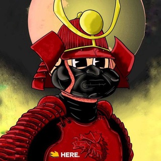 Telegram profile photo for Pasha | HOT wallet 🔥