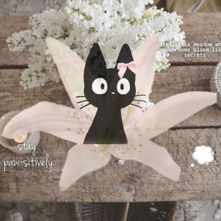 Telegram profile photo for π β‘ @Jistarnn ππΈπ»π½π―πΈπ΅π²πΈ βͺ.Β·