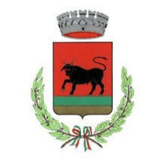 Telegram profile photo for Comune Torino di Sangro