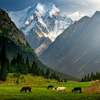 Telegram profile photo for Кыргызстандын кооз сүрөттөрү 🇰🇬