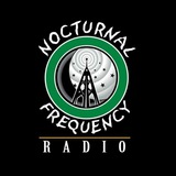 Telegram profile photo for Nocturnal Frequency Radio