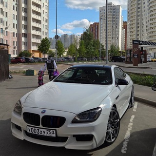 Telegram profile photo for московское княжество