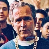 Telegram profile photo for BUSHBANDS CALLS $