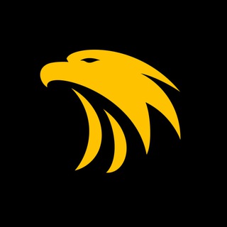 Telegram profile photo for Cash Wise | Seu dinheiro trabalhando por você