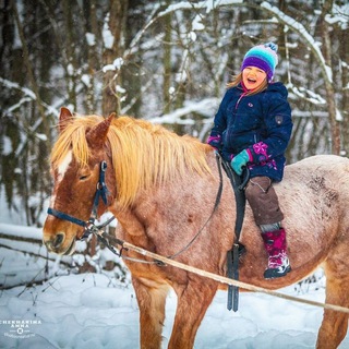 Telegram profile photo for Конный клуб Фортуна в Ромашково/Западное Кунцево/Трехгорка/Одинцово/Немчиновка/Кунцево