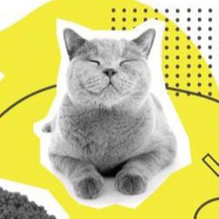 Telegram profile photo for РГ КОРМА