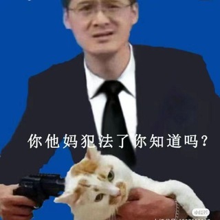 Telegram profile photo for 张三环境交流群