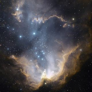 Telegram profile photo for The law of the universe
