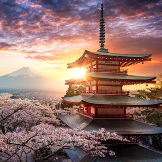 Telegram profile photo for Shinto Shrine Story
