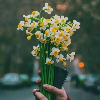 Telegram profile photo for گل نرگس اندیمشک