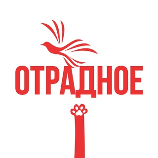 Telegram profile photo for Касается Отрадного