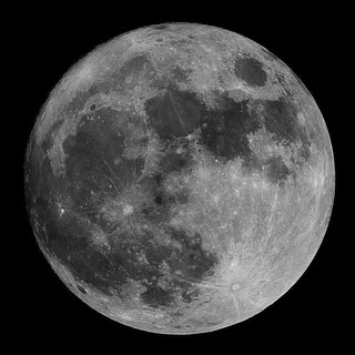 Telegram profile photo for MOON