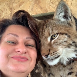 Telegram profile photo for Amur&kitties