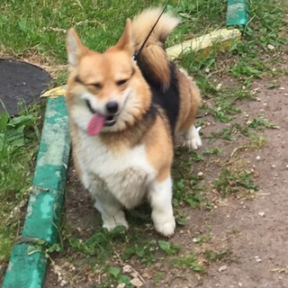 Telegram profile photo for Тупые мемы и элитные картинки