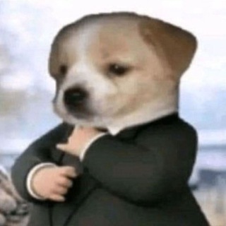 Telegram profile photo for Newsy Johnson