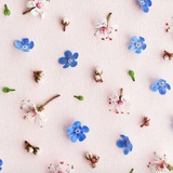 Telegram profile photo for 🌸دختری از تبار باران🌸