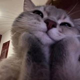 Telegram profile photo for mem&me