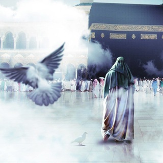 Telegram profile photo for Saheb al-Zaman 🕊