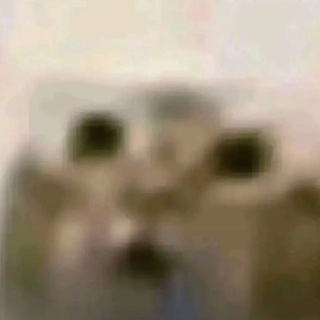 Telegram profile photo for NMU info