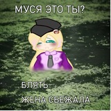 Telegram profile photo for Марктрахер