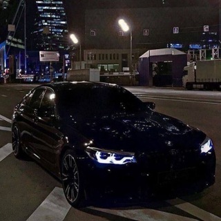 Telegram profile photo for Dargon Team