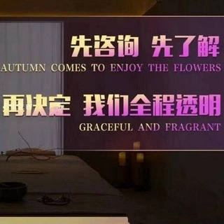 Telegram profile photo for 宁波4T SPA(聊天群)