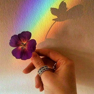 Telegram profile photo for 💛🌈اصفهان گی esfahan gay👬💥 ( گی )