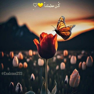 Telegram profile photo for كُن مطمئنـاً 💛♡゙ِ