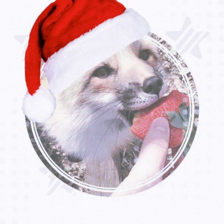Telegram profile photo for ᭝ 𖥻 𝘋𝒶𝘪𝘭𝘺 𝘓𝘪𝘧𝘦 !