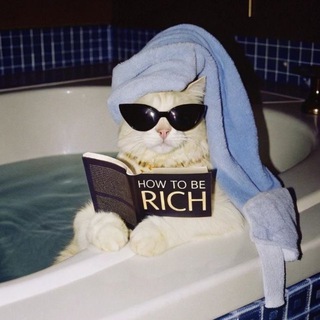 Telegram profile photo for shut up and take my money 💸