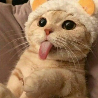 Telegram profile photo for KingMods NonRoot