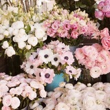 Telegram profile photo for / Florist @iMeyodi 💕👱🏻♀️