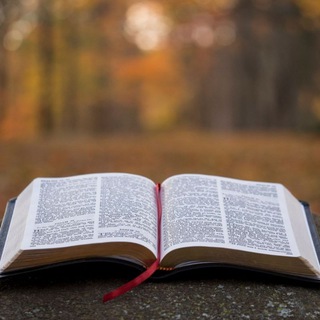 Telegram profile photo for ትልቁ መጽሐፍ (THE WORD OF GOD)